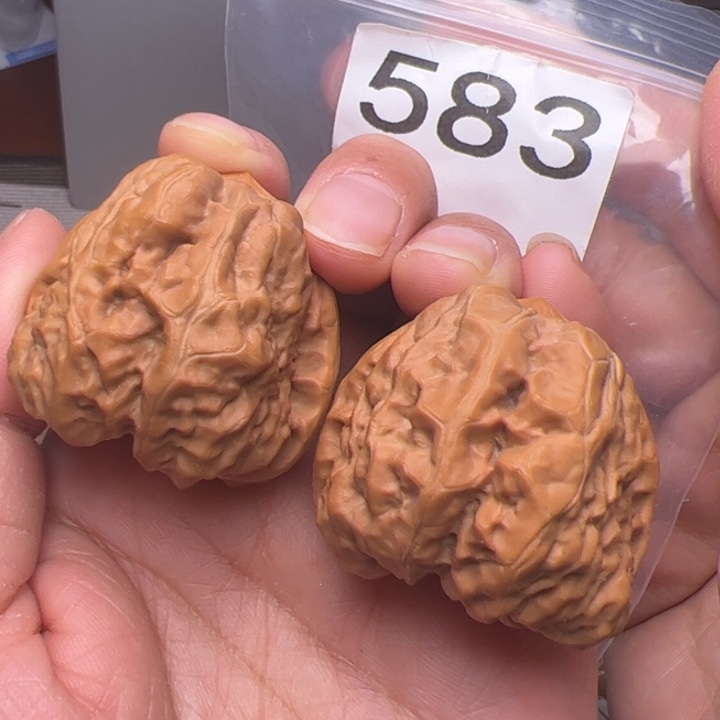 核桃38边42肚583号