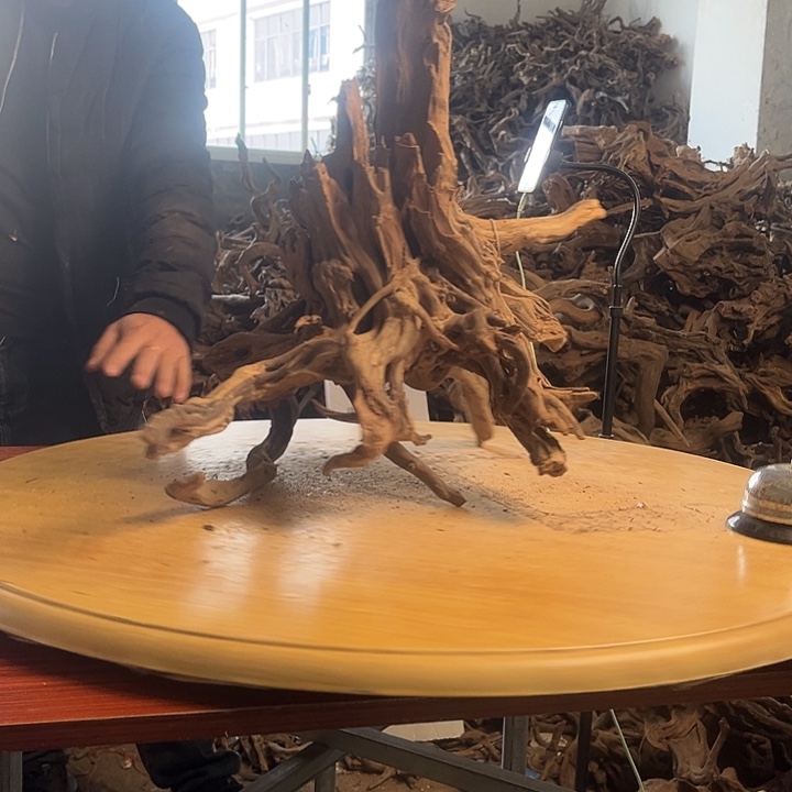 木583045 鱼缸造景摆件水库杜鹃根105