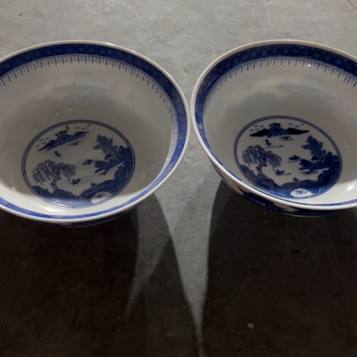 手绘8寸梧桐汤碗2个