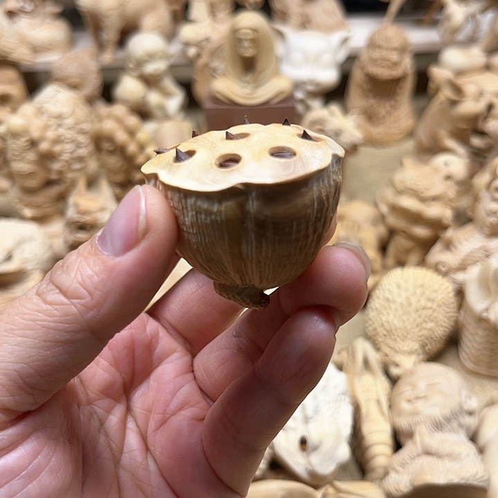 黄杨木小叶黄杨莲蓬