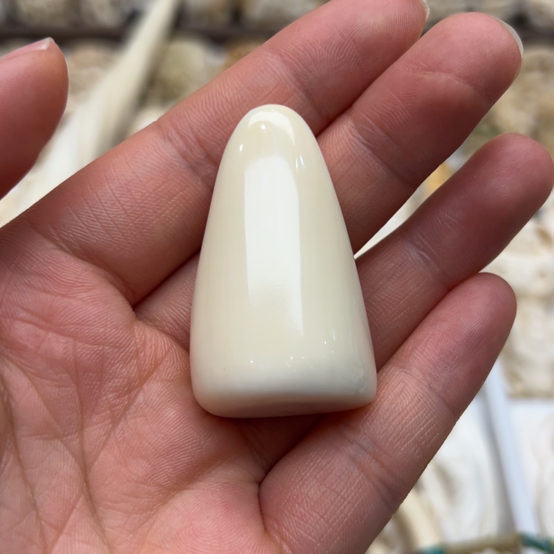 白玉菩提吊坠仓**春大嘴牙