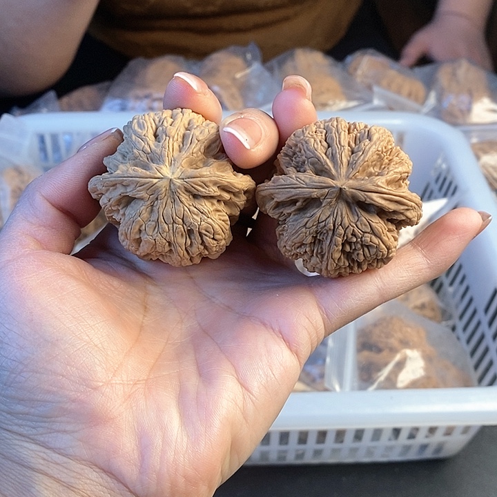 文玩核桃把件47粗筋75.8