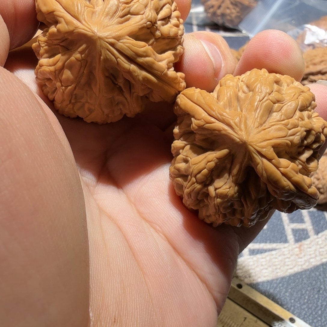 文玩核桃把件明****享虎头王