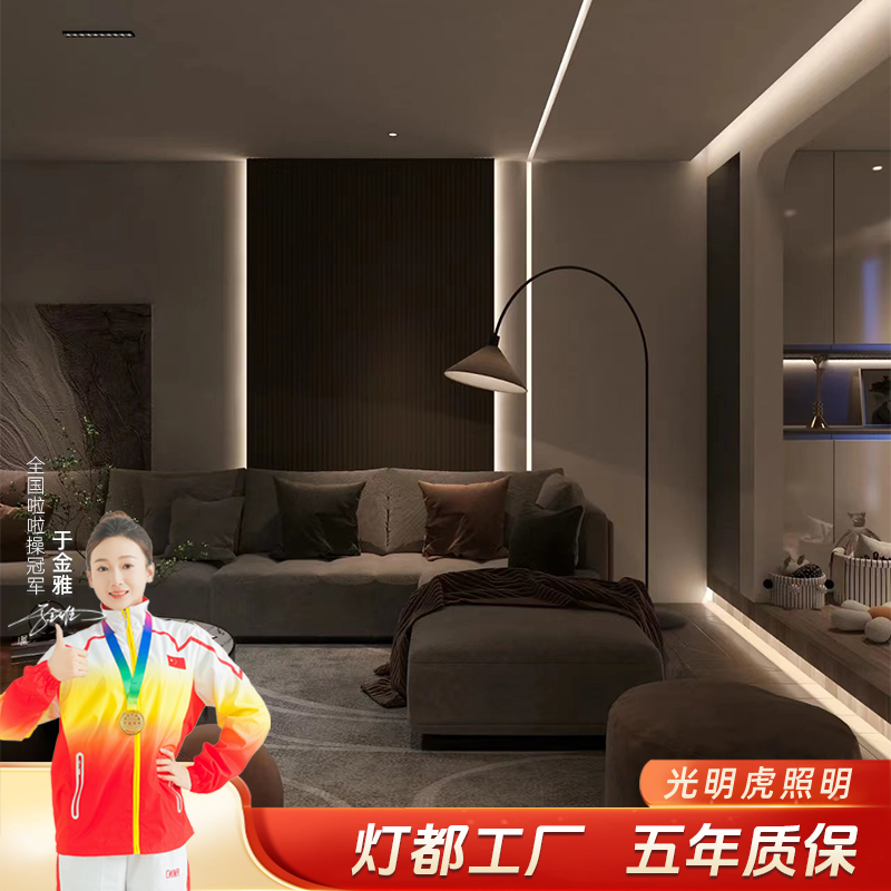 全屋定制射灯筒灯双眼皮吊顶线型灯磁吸筒灯客厅家用2025新款
