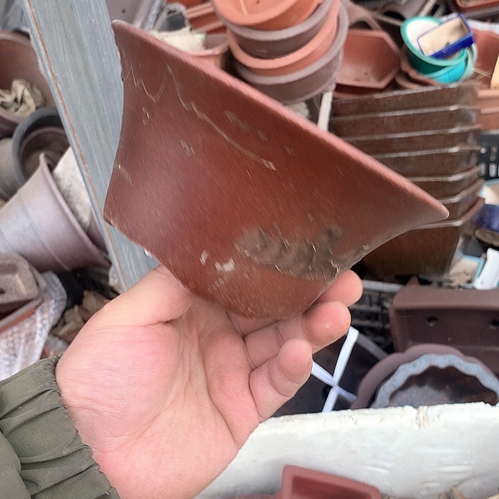 紫砂我要不就是你一