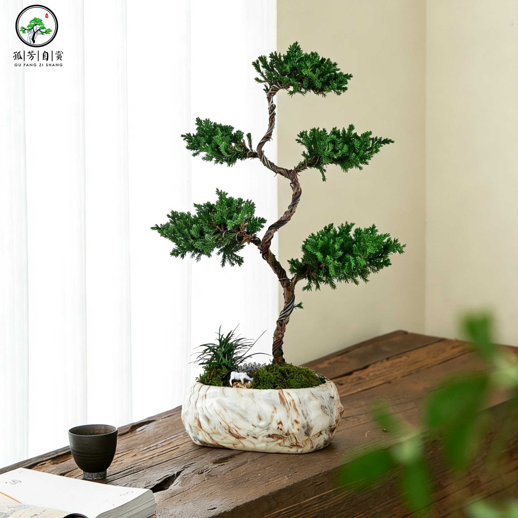 真柏迎客松高端造型树桌面的高档绿植松柏文人盆景中式盆栽