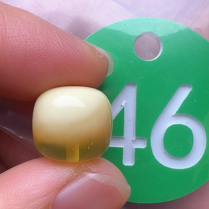 蜜蜡裸石未镶嵌金沙12.5m m