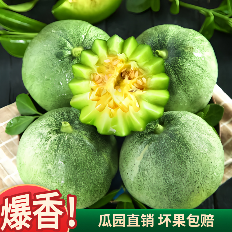 头茬山东绿宝甜瓜新鲜应季脆甜多汁当季水果时令香瓜孕妇现摘现发