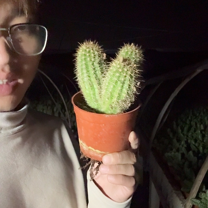 留***返无花朵绿眼睛哈哈哈哈哈哈哈哈