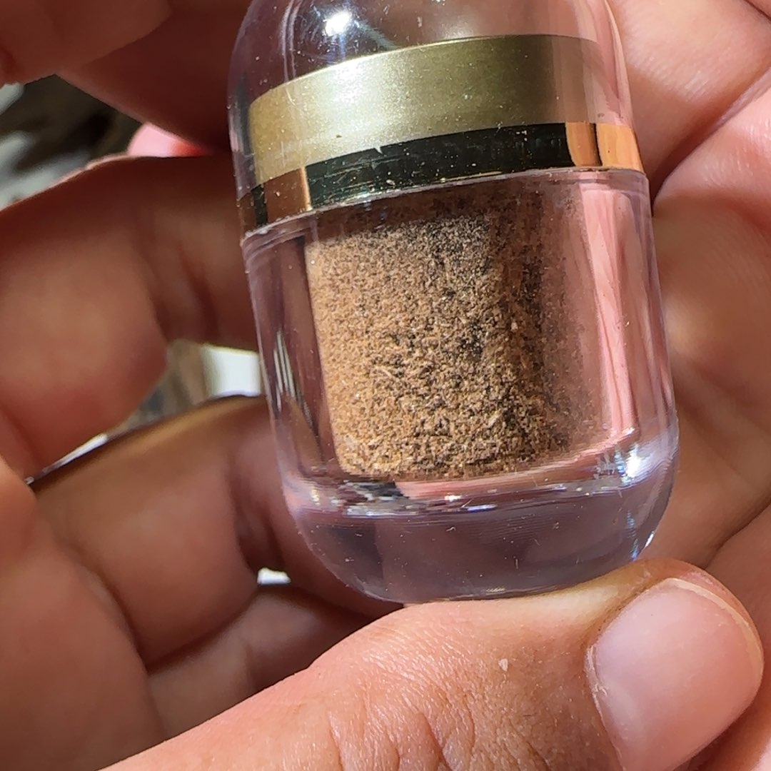 沉香碎屑沉香芽庄土沉蚂蚁腿沉水粉1克