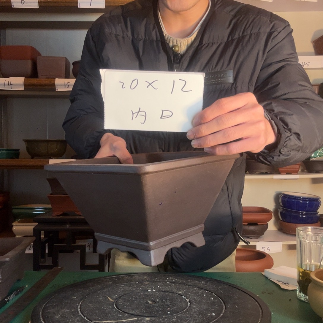 需规范吃饭广告v广告