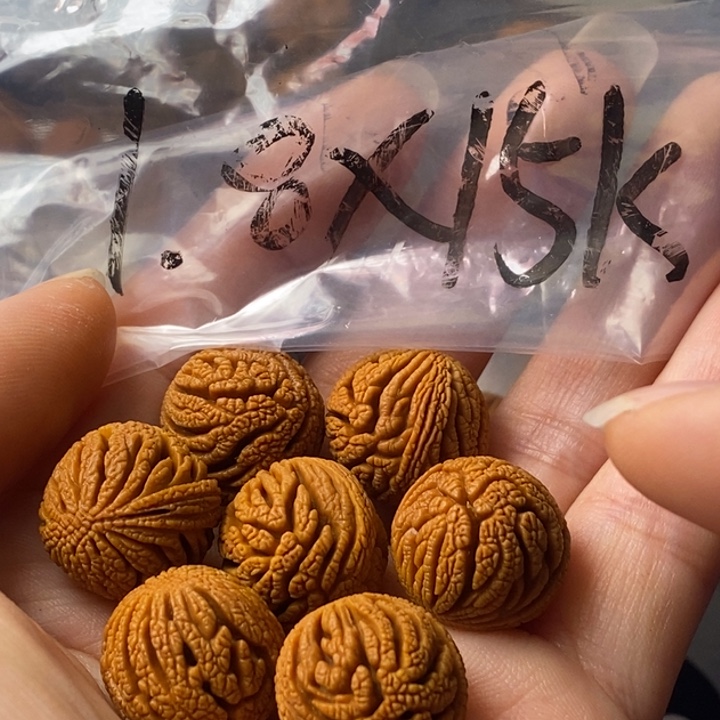 手串文玩核桃秦岭龙纹桃核野生18