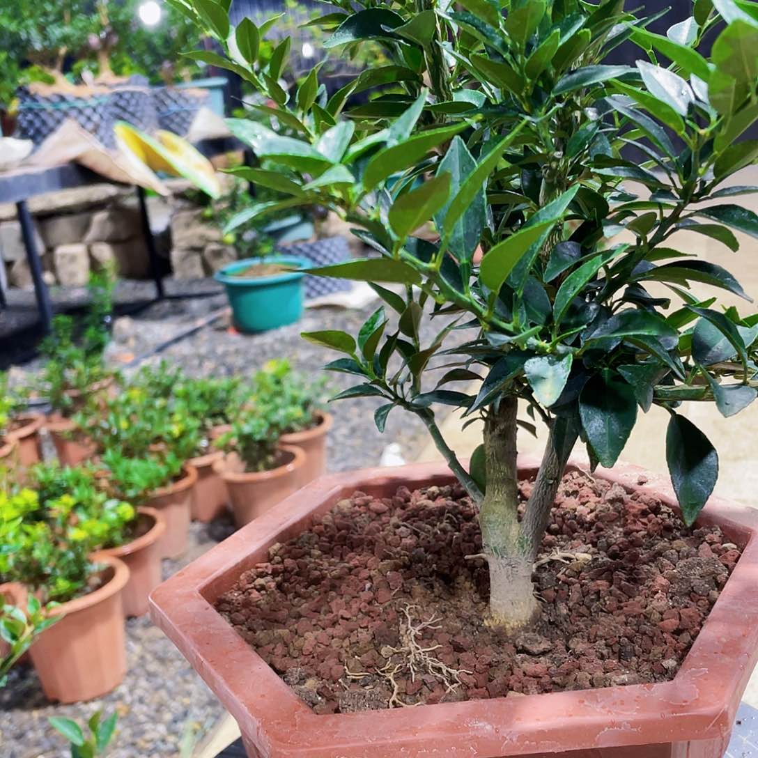 完全开放为****行房丰富法国哈哈哈尴尬