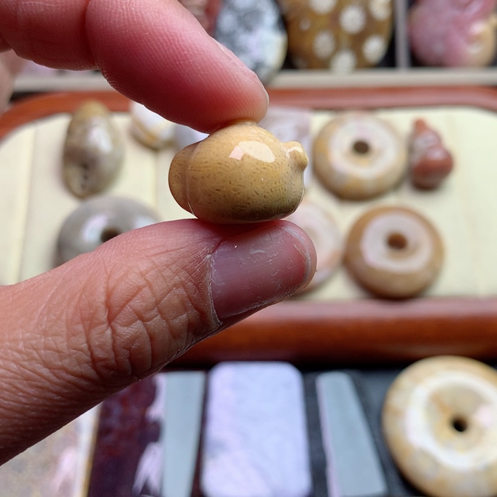 硅化珊瑚（珊瑚玉）颈饰未镶嵌