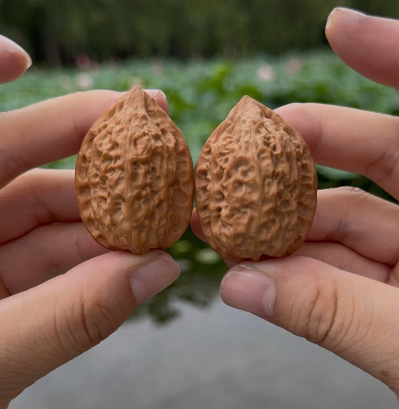 沈阳鸡心全品33-35文玩核桃