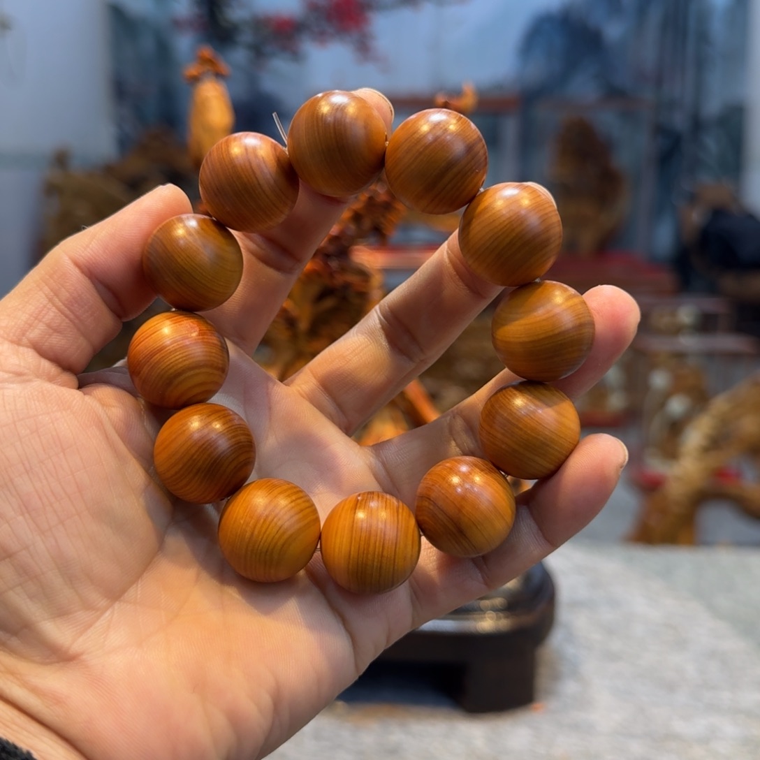 柏木（崖柏）崖柏111111