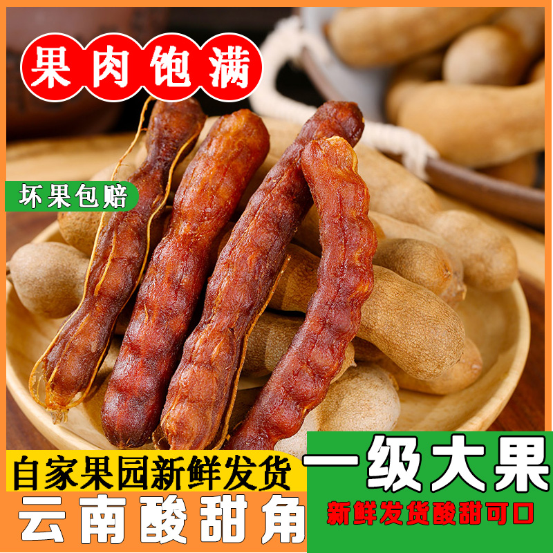25年新果云南酸甜角孕妇零食罗望子新鲜大甜角云南小吃果脯酸甜角