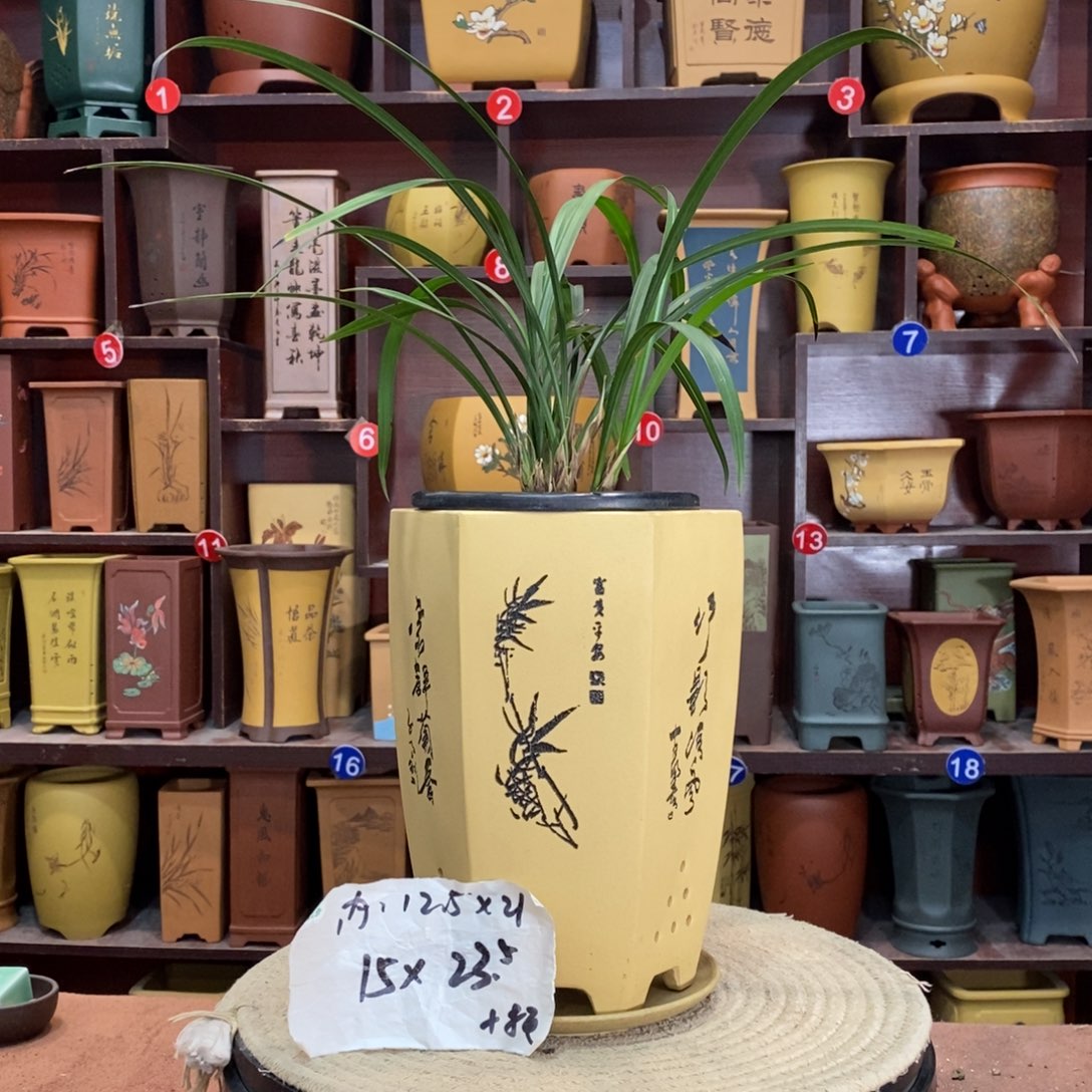 紫砂艺术紫砂花盆