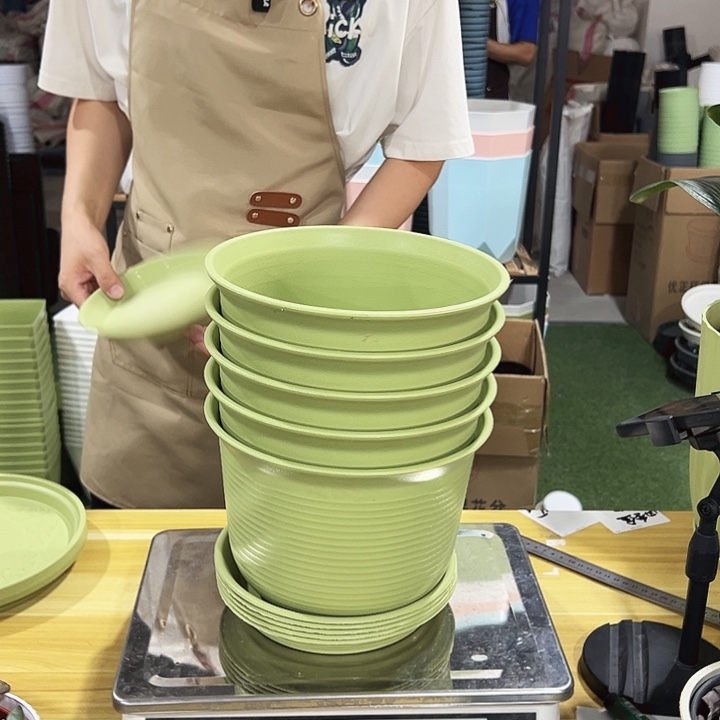 正品炭烧口21高15绿色带托5只
