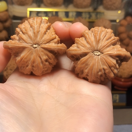?****?老树山地红皮磨盘全品