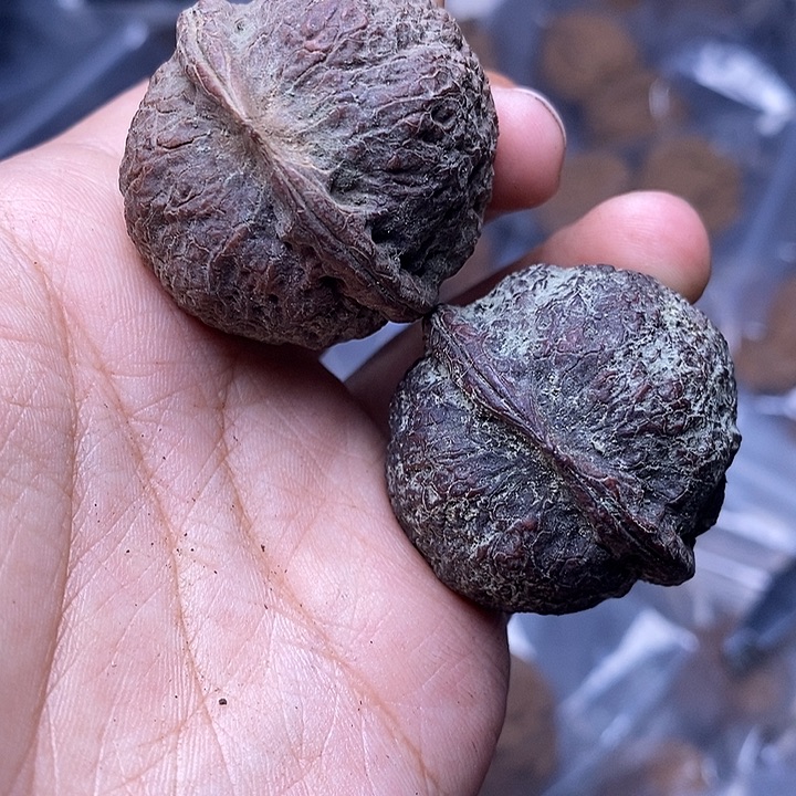 文玩核桃吊坠   307