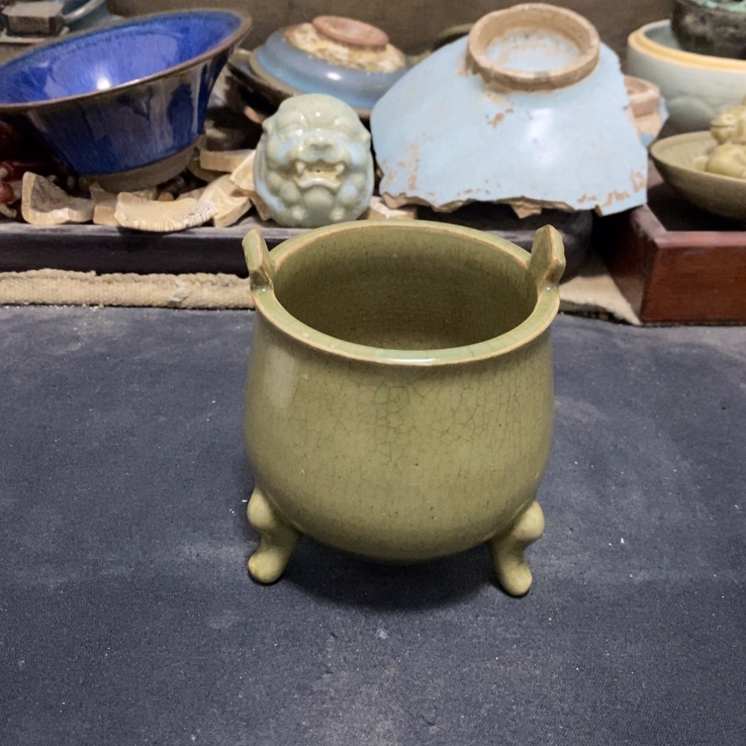 碟不**旅11111111111111