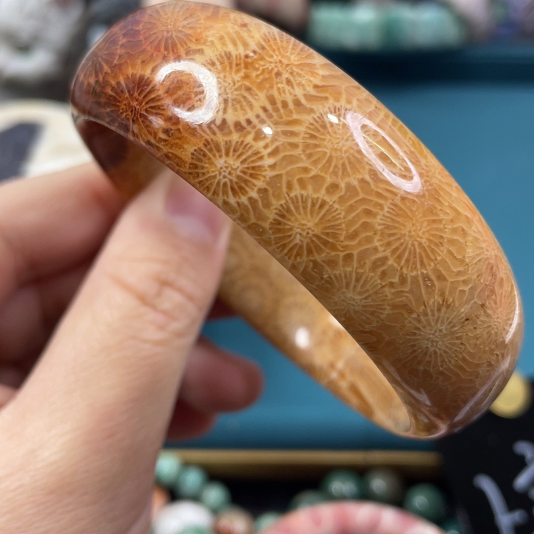 未镶嵌手镯硅化玉