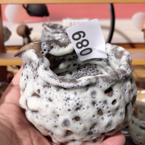 杳*闻木有一点点的小姐姐