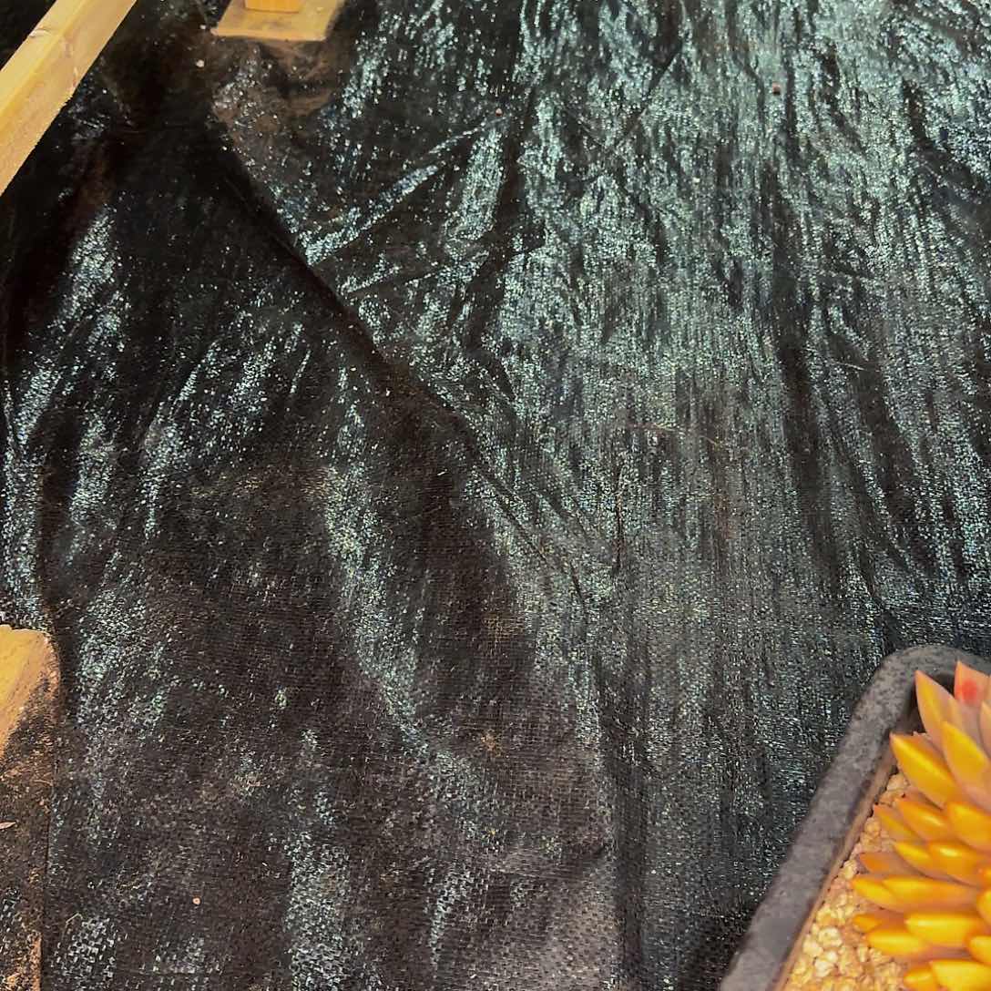 天*健健康康健健康康快快乐乐啦