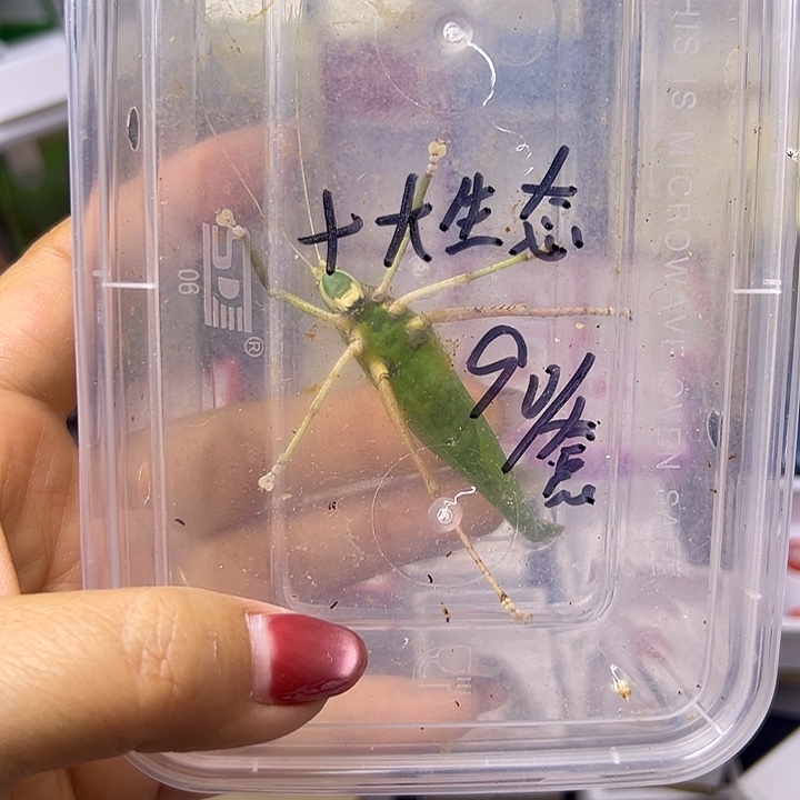 与***争哈哈哈哈哈哈哈哈哈哈哈哈哈哈哈