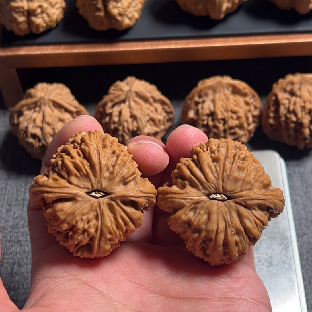 文玩核桃把件哇***丘44赵