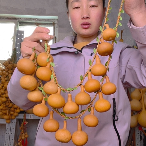 天然植物葫芦文玩