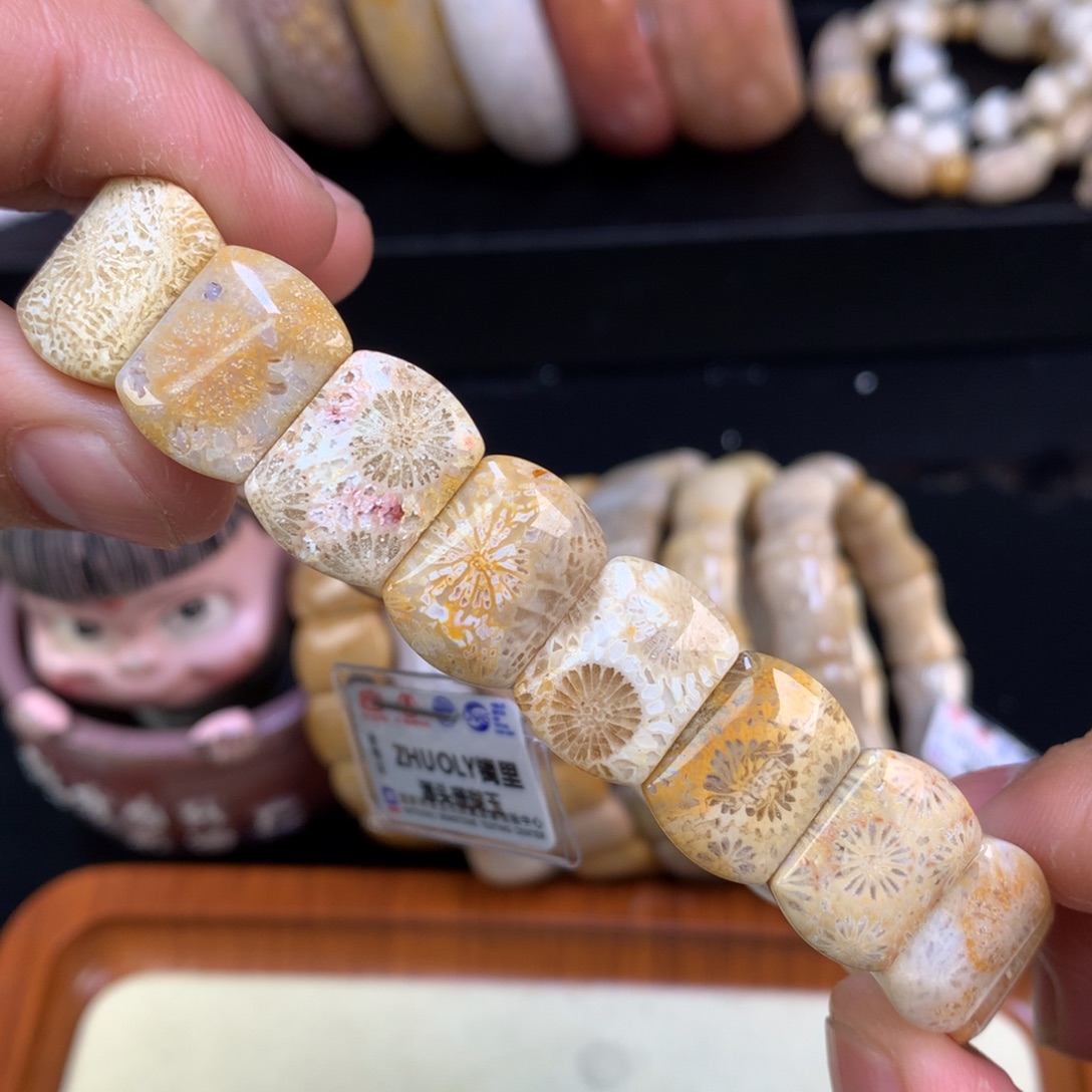 硅化珊瑚（珊瑚玉）未镶嵌颈饰14号大花花