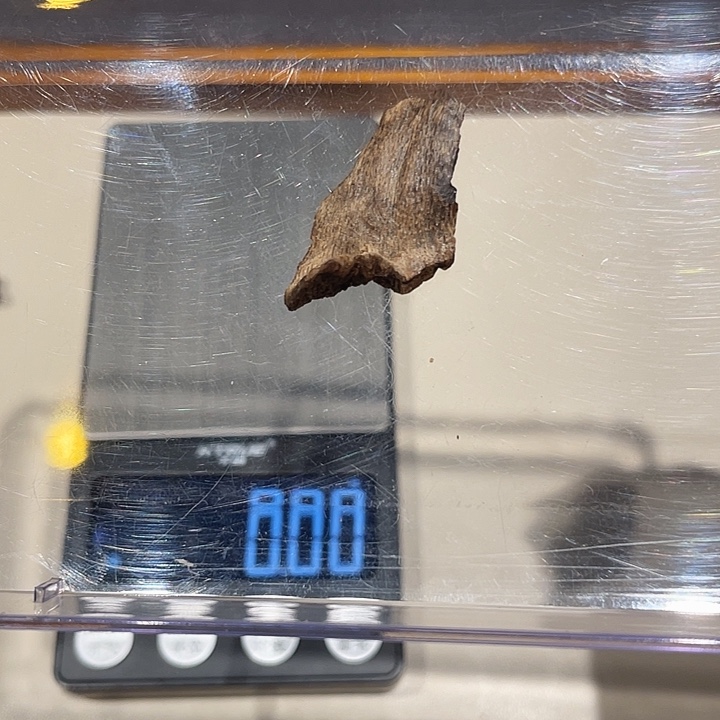 海南天然壳子料0.4克