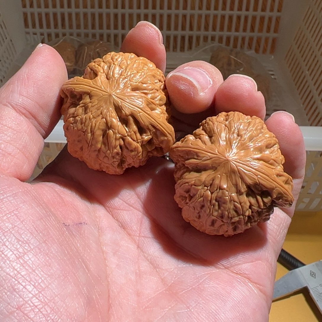 文玩核桃把件21212121212