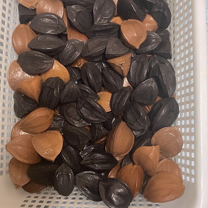 吊坠橄榄核黑红大三角一筐