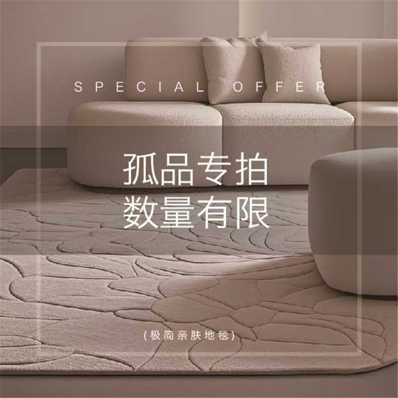 1-50现代简约风客厅床边床位浴室客厅防滑可擦洗地毯酒店亲肤