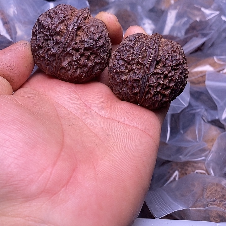 文玩核桃把件   135