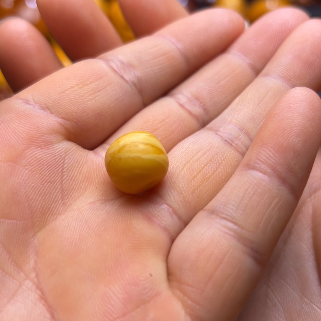 琥珀吊坠(不含链)未镶嵌