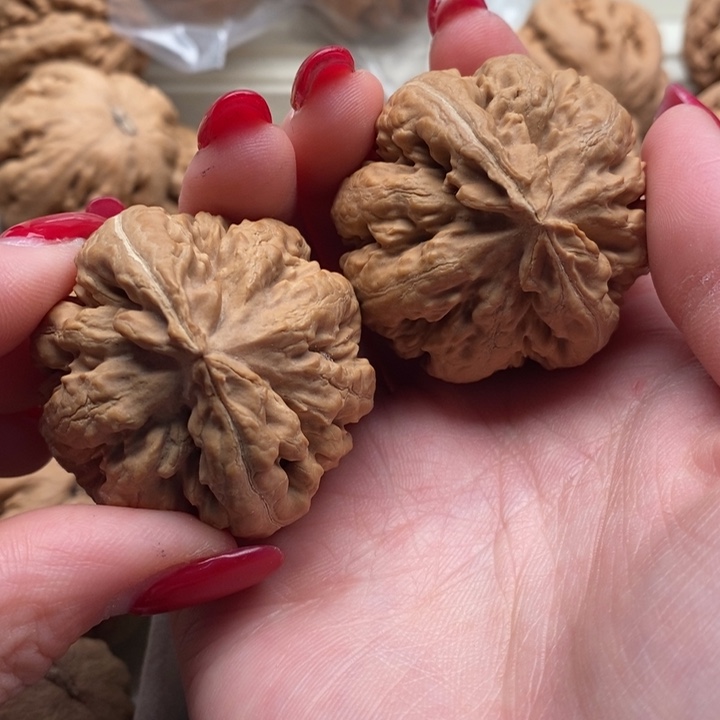 S***y把件文玩核桃霸王龙