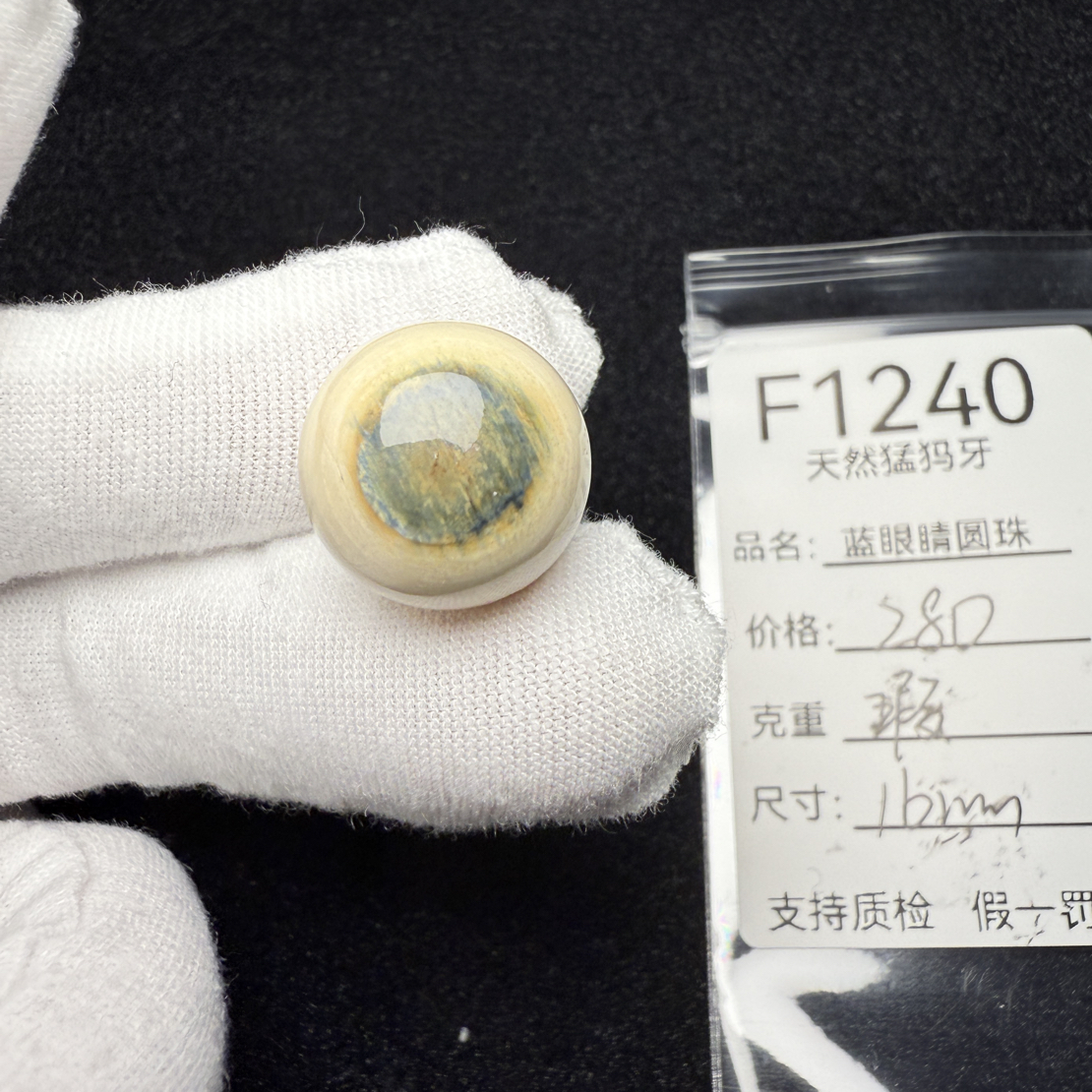 F1240天然猛犸象牙蓝皮蓝眼睛圆珠单珠配珠配饰顶16mm冰料瑕疵
