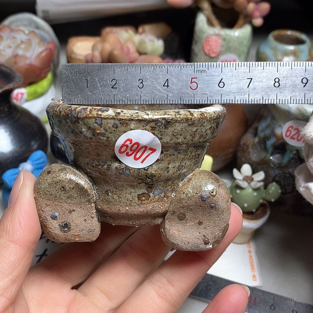 红陶拍5送一个小