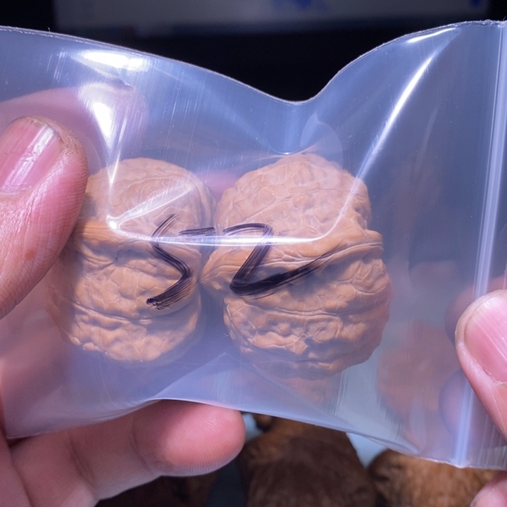 文玩核桃把件52呃呃呃