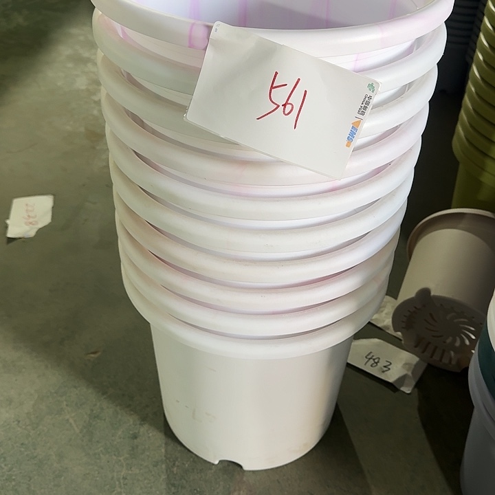 编号561串色10个无托口径32