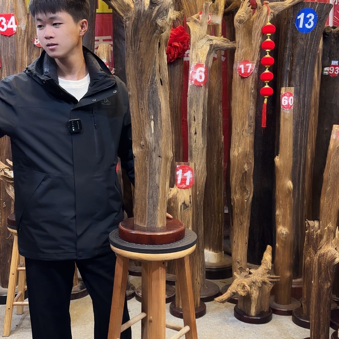 沉香摆件D**G海南沉香