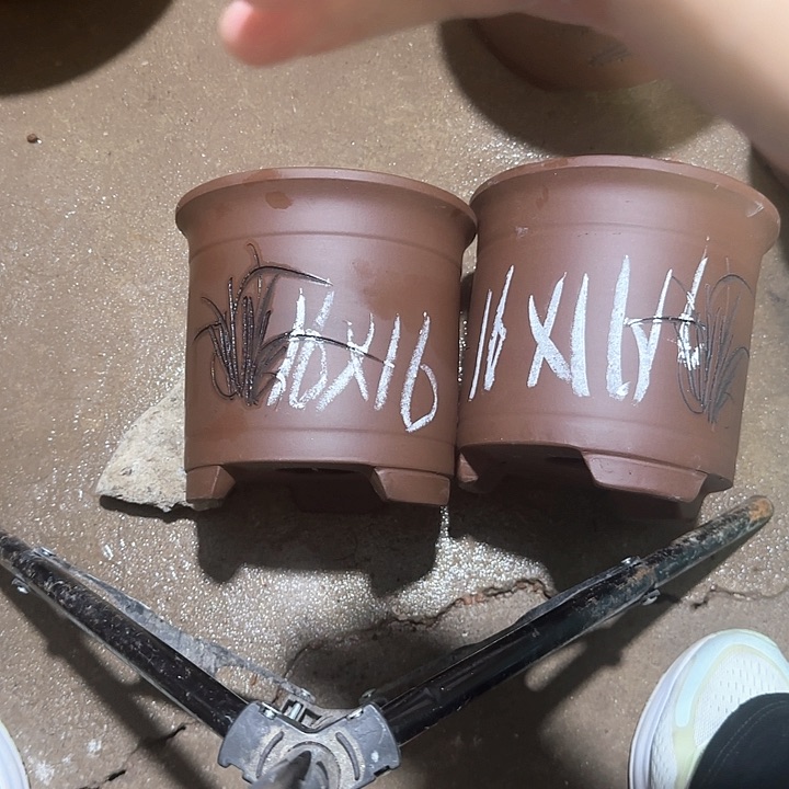 紫砂花盆破损包赔