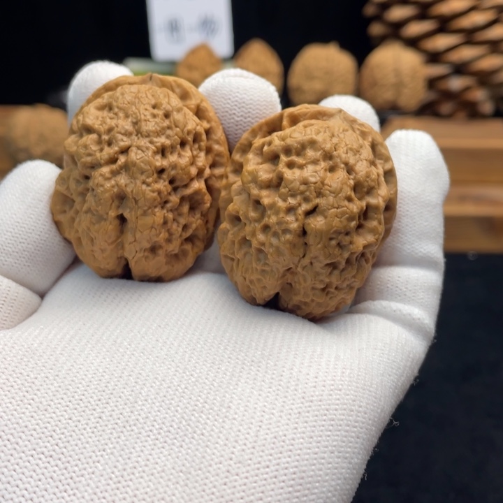 落***年把件文玩核桃云南铁核桃24