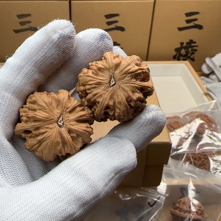 桃核把件漱**旅37御龙三棱