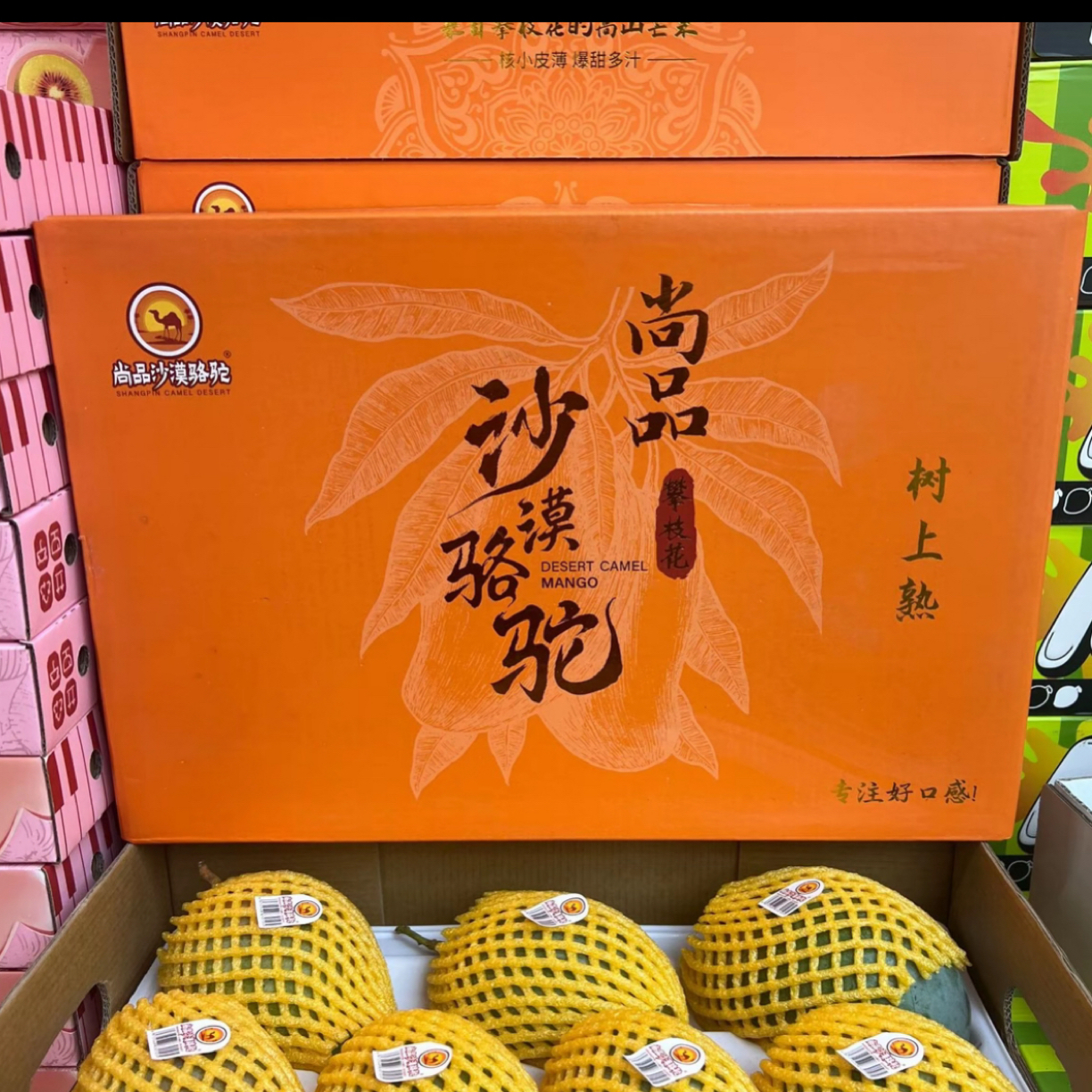 沙漠骆驼攀枝花芒果礼盒58
