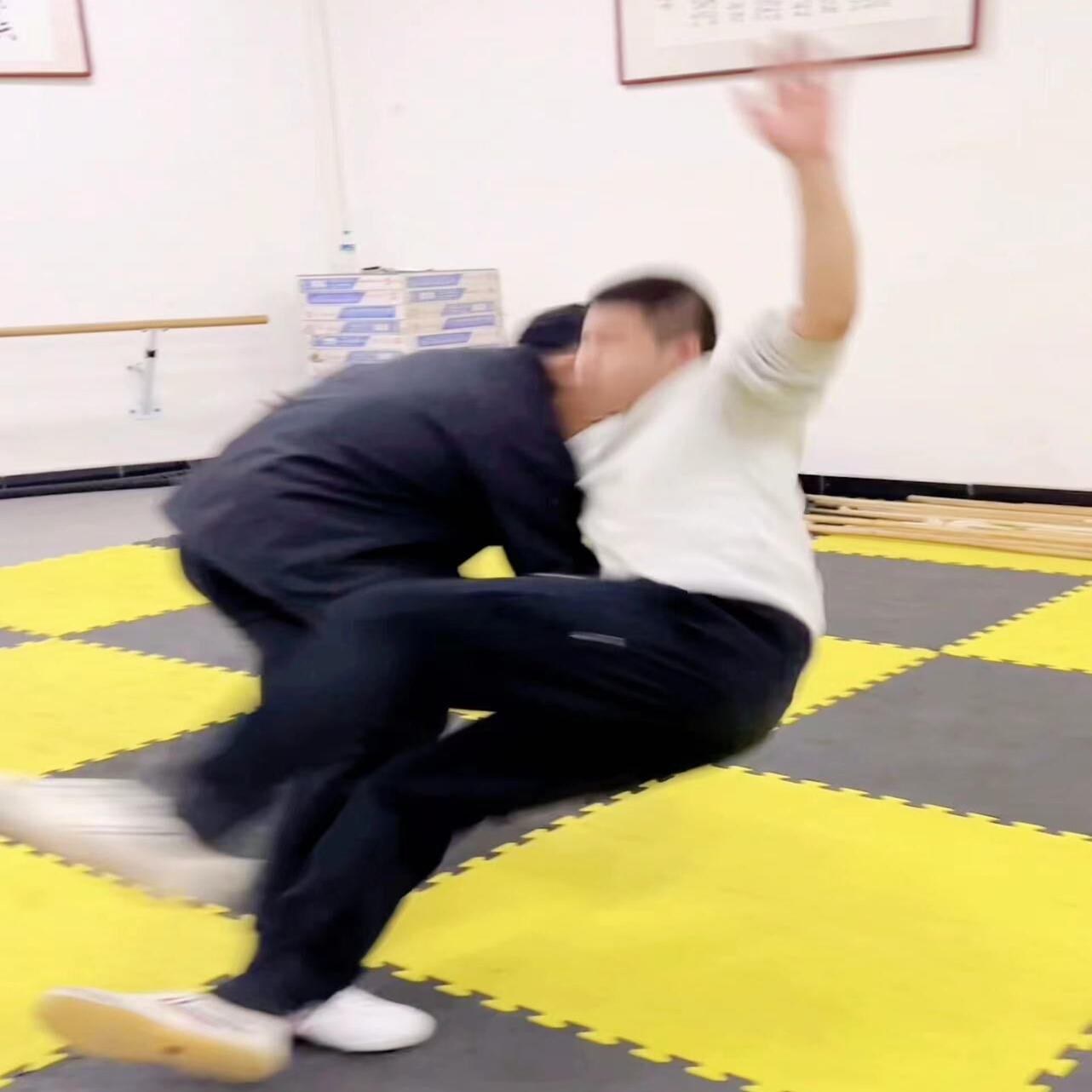 八极拳小架实战全解（下）